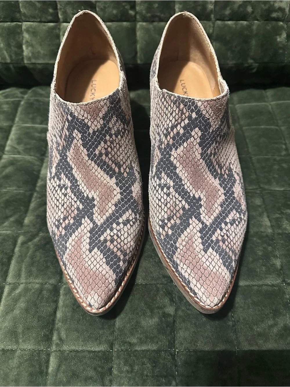 Lucky Brand Pointed Snake-Print Ankle Booties in Taupe and Black